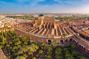 Córdoba and its Mosque from Málaga